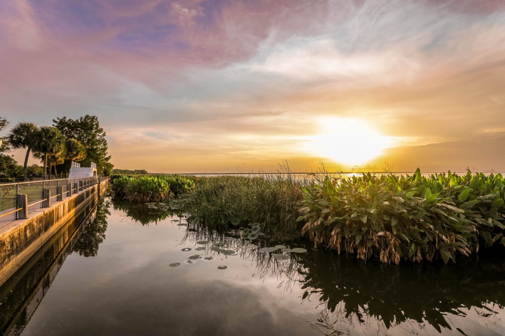 A sunset over the water with trees in the foreground.